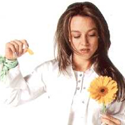 Fey